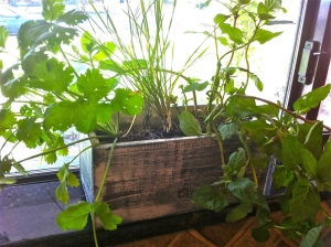 Grow an Indoor Herb Garden and have fresh ingredients even in winter.