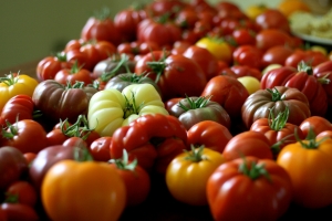 Patio tomatoes and other varieties to enjoy