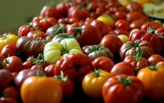 Patio tomatoes and other varieties to enjoy