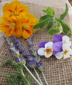 Garden ingredients for herbal vinegars
