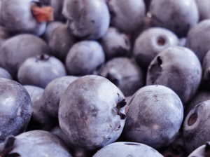 Growing blueberries like these are easy with these garden tips.