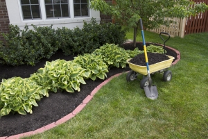 Buying bulk soil and amendments is a good idea for big mulch projects like this one.