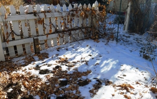 Garden Planning Tools turn a blank canvas into a thriving vegetable garden.