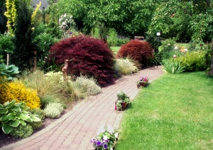 blog-Beautiful-Garden