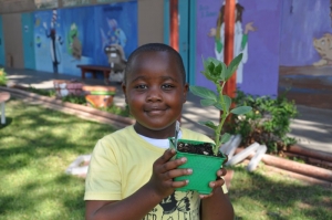 Boy holding vegetable plant.