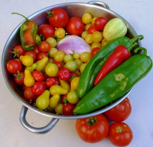 Colander with four top vegetables for container gardening